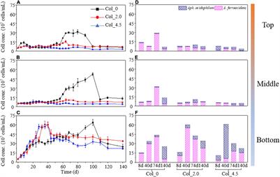 Correlation Between Fe/S/As Speciation Transformation and Depth Distribution of <mark class="highlighted">Acidithiobacillus ferrooxidans</mark> and Acidiphilium acidophilum in Simulated Acidic Water Column
